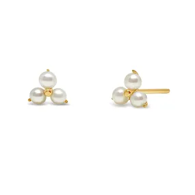 14 Karat Gold Pearl Trio Studs