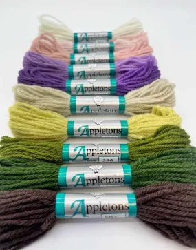 Autumn Colours Tapestry Wool 4 Ply Skeins Set of 10