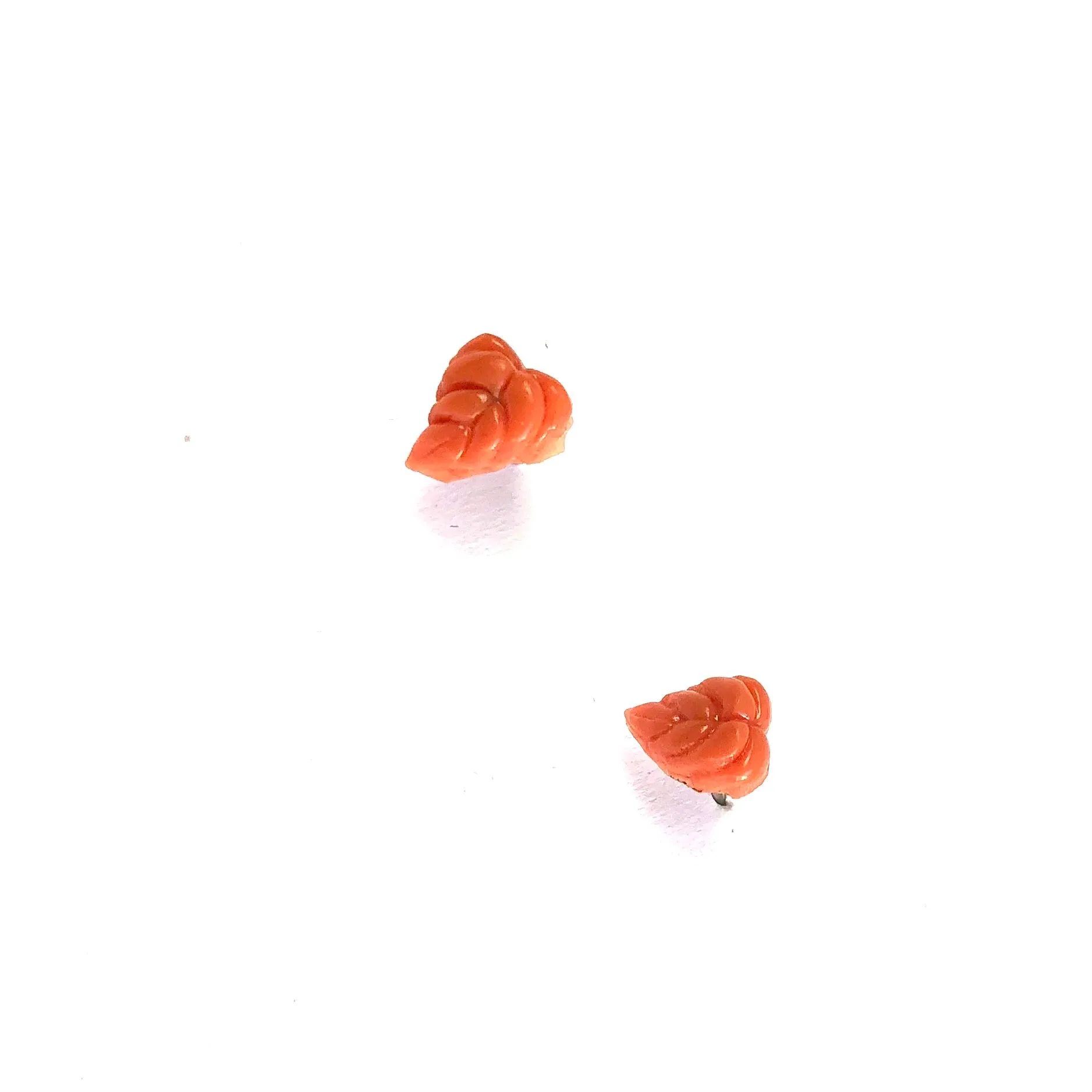 Carved Coral Curly Leaf Stud Earrings