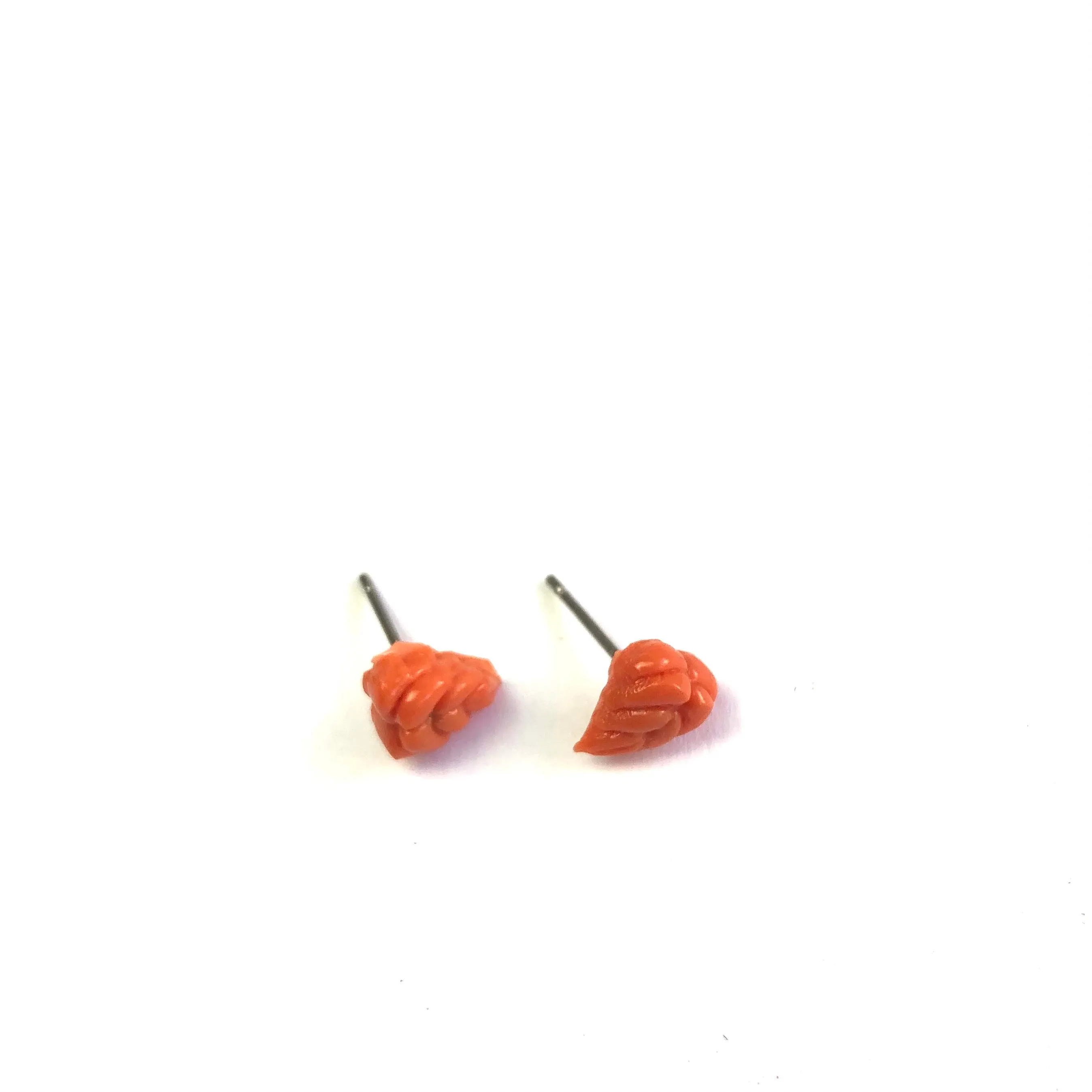 Carved Coral Curly Leaf Stud Earrings