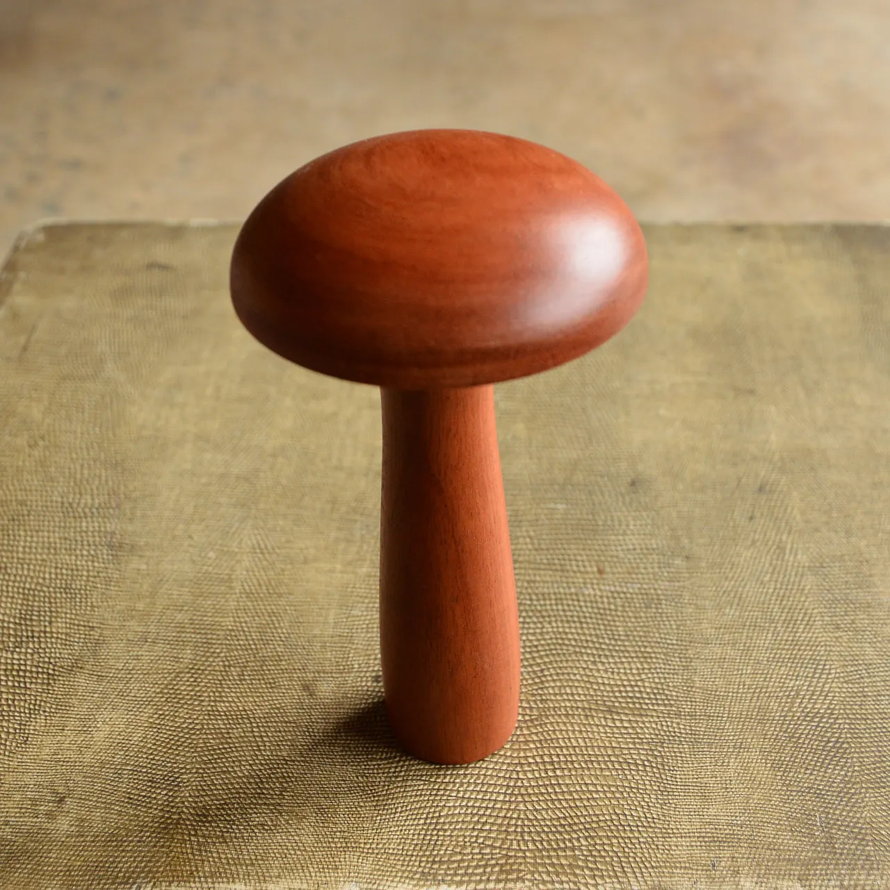 Little Darning Mushroom