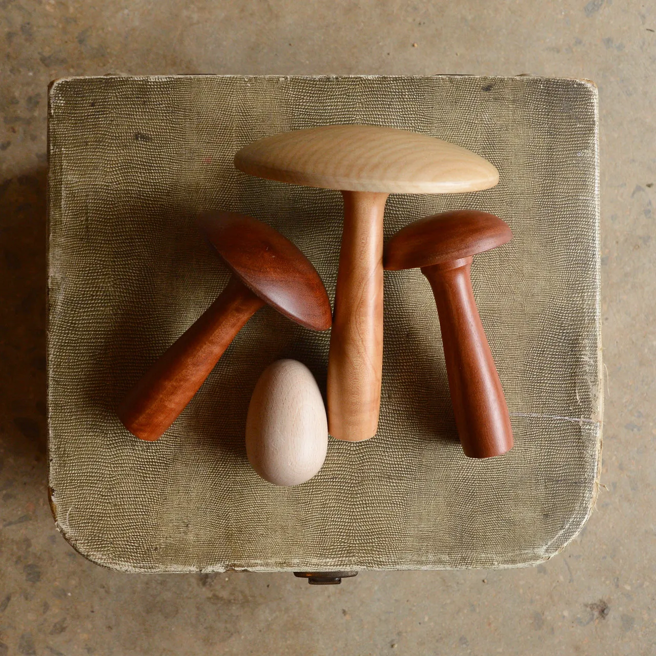 Little Darning Mushroom